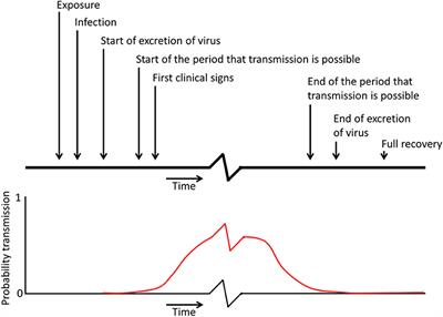 Mathematical Quantification of Transmission in Experiments: FMDV Transmission in Pigs Can Be Blocked by Vaccination and Separation